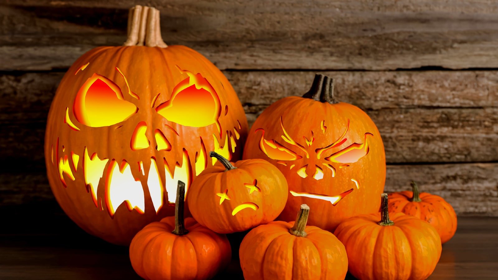 Halloween pumpkins against wood background