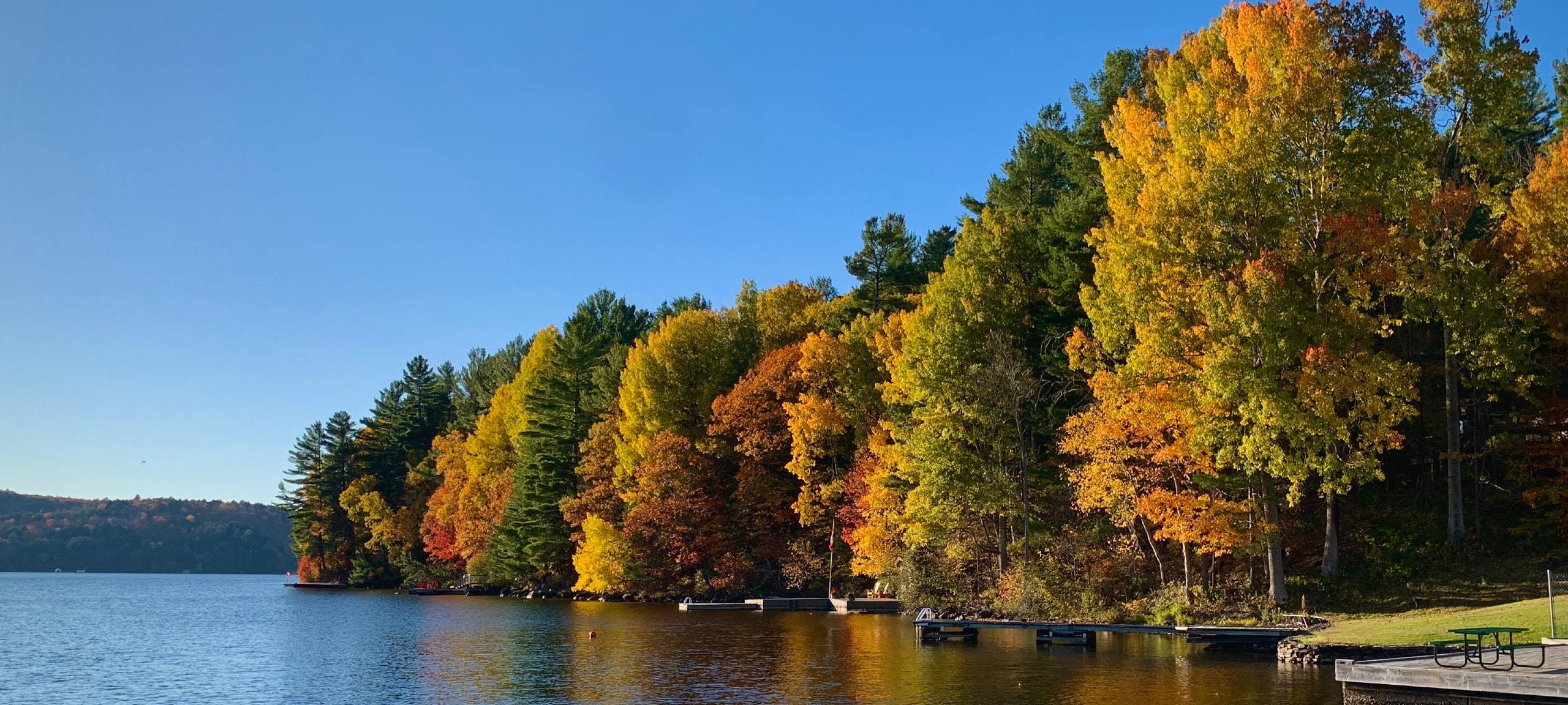 Lake and fall colours in Dorset, Lake Of Bays, ON
