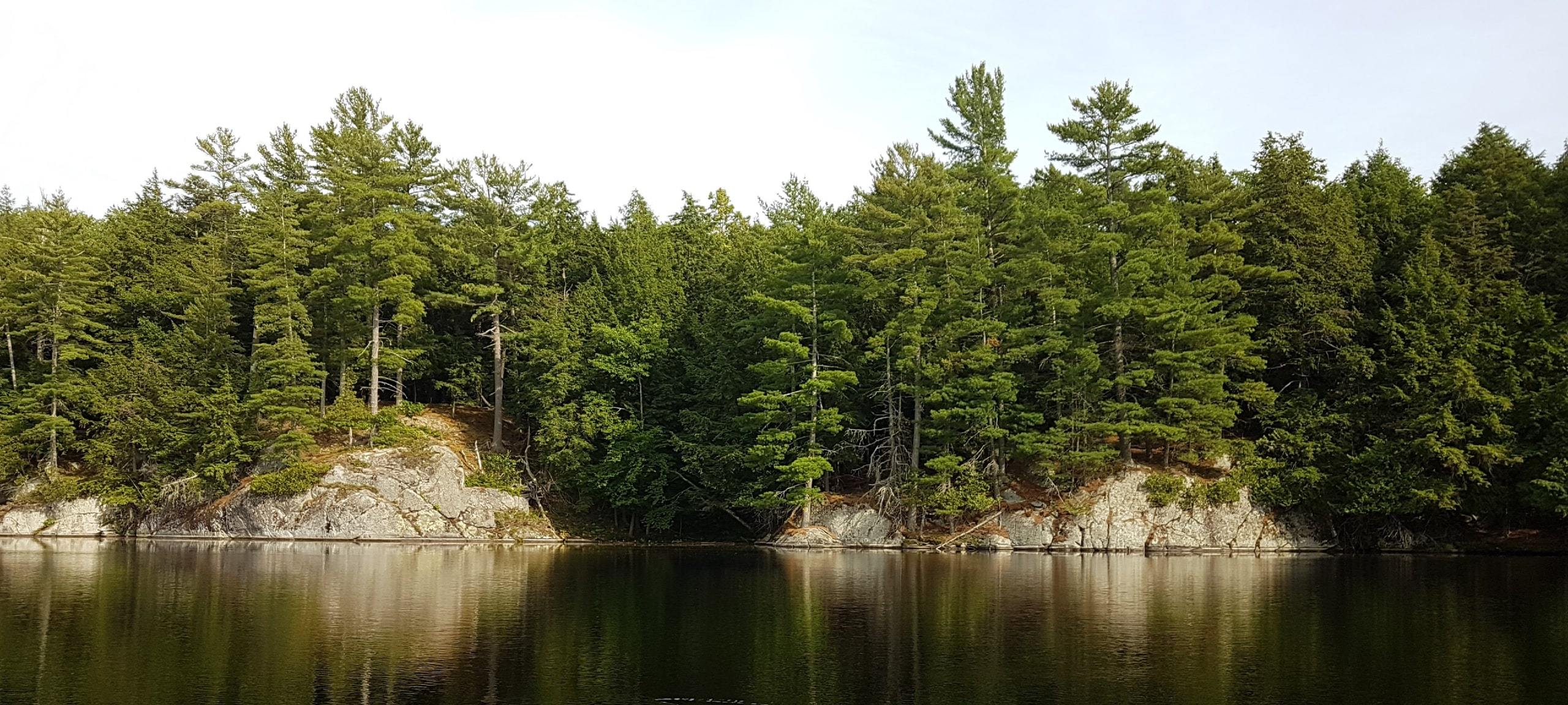 Rocks and forest on Manitouwabing Lake in McKellar, ON