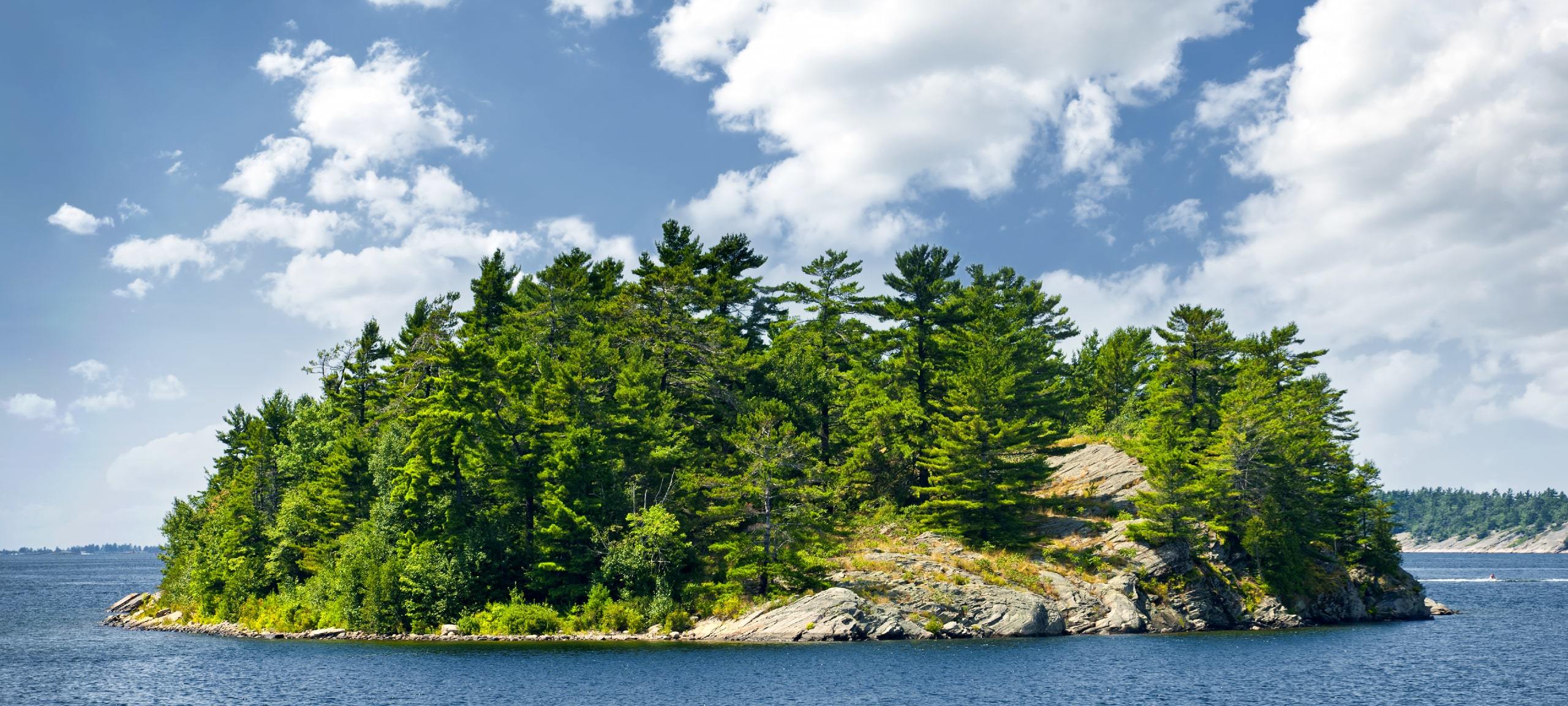 Small island with trees in Georgian Bay near Parry Sound, ON