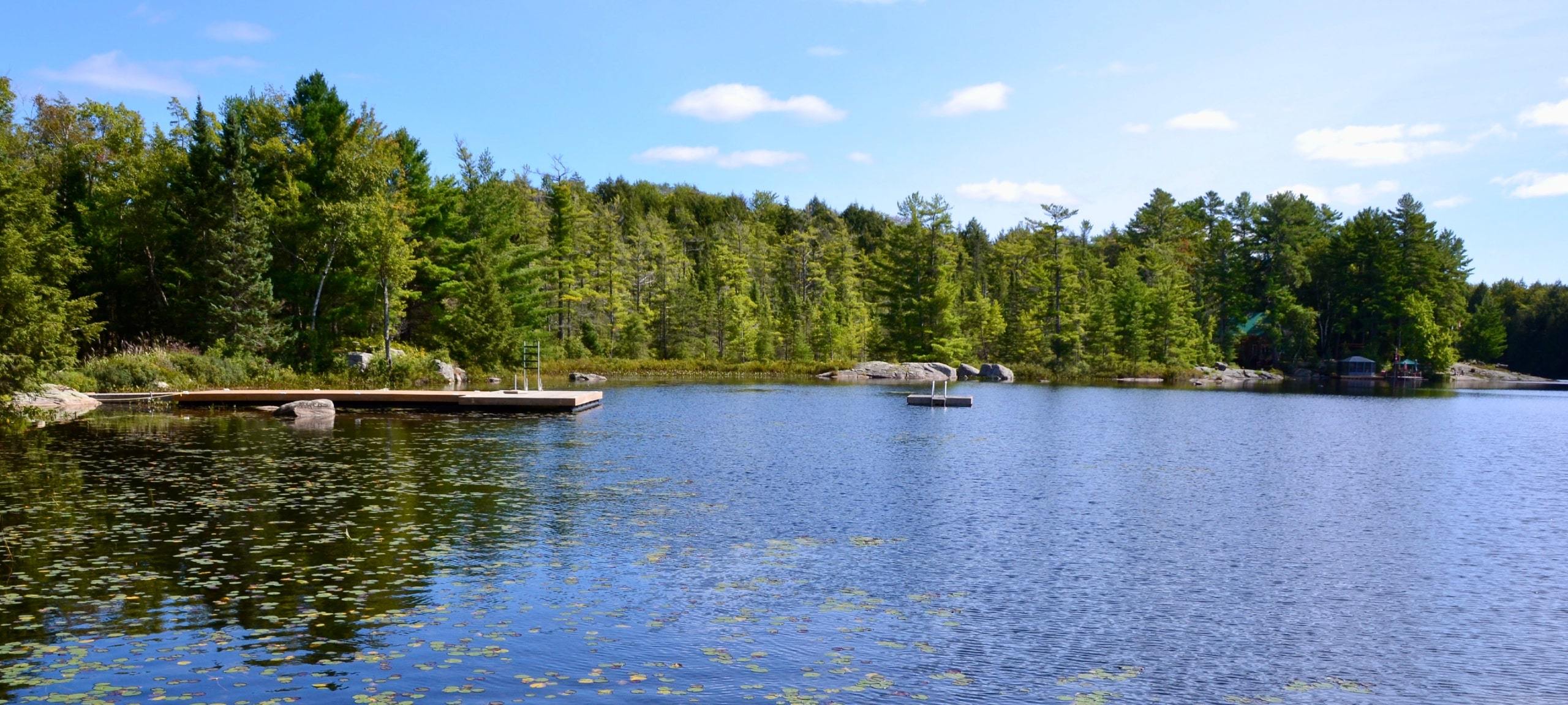 Docks and forested lake during a Muskoka Lakes region summer